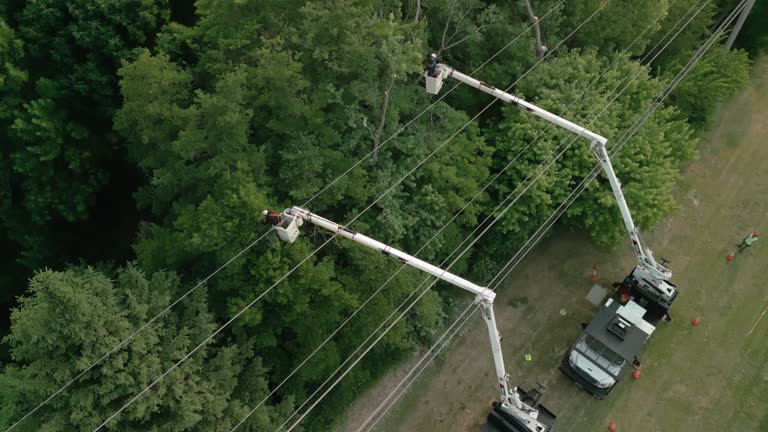Best Emergency Tree Removal  in Vails Gate, NY